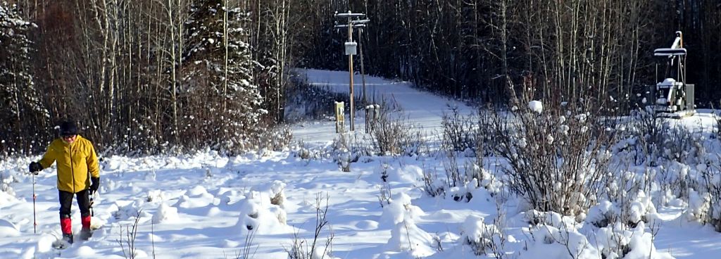 2021-12-20 Bat Lake 12 Riparian Zone (FPotter)