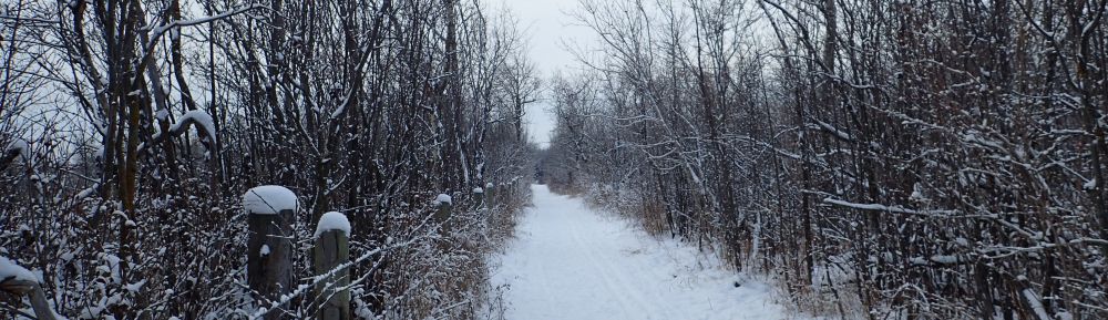2017-01-07 River Lot 56 Winter Trail (FPotter)