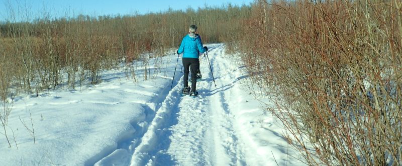 Hastings Lake NA - Following a Snowmobile track along the Riparian Zone (FPotter)