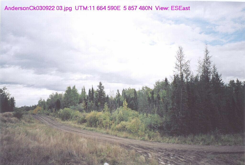 View looking East-Southeast, Anderson Creek Natural Area, 2003-09-22 (TBlake)