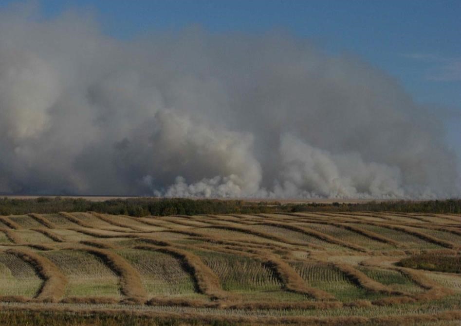 Spring wildfire on Beaverhill Lake, ca Spring 2010 (LKershaw)