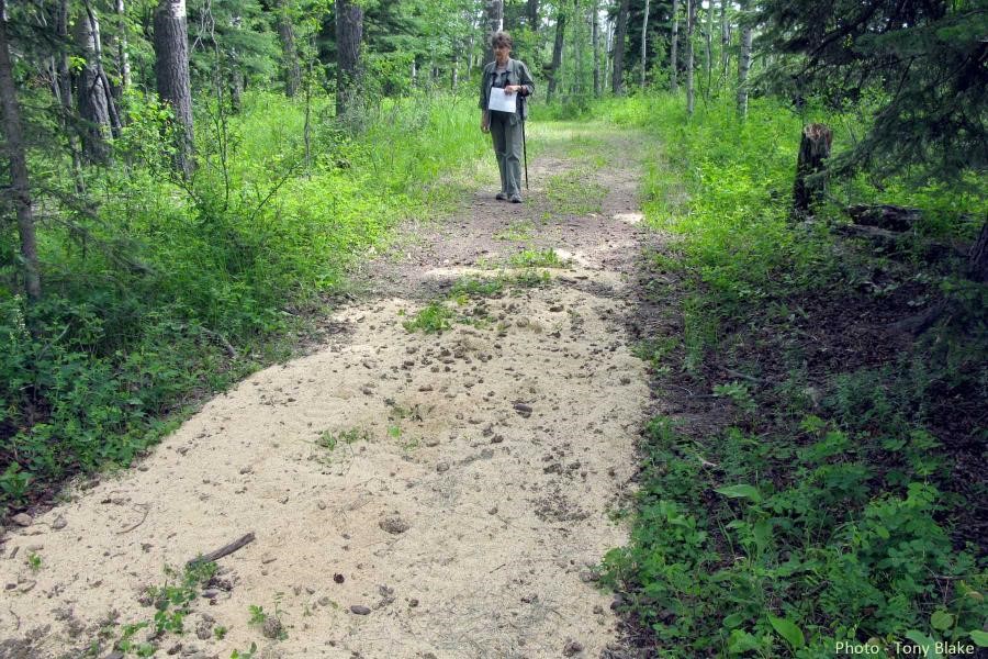 Butcher Creek Natural Area, circa 2003 (TBlake)