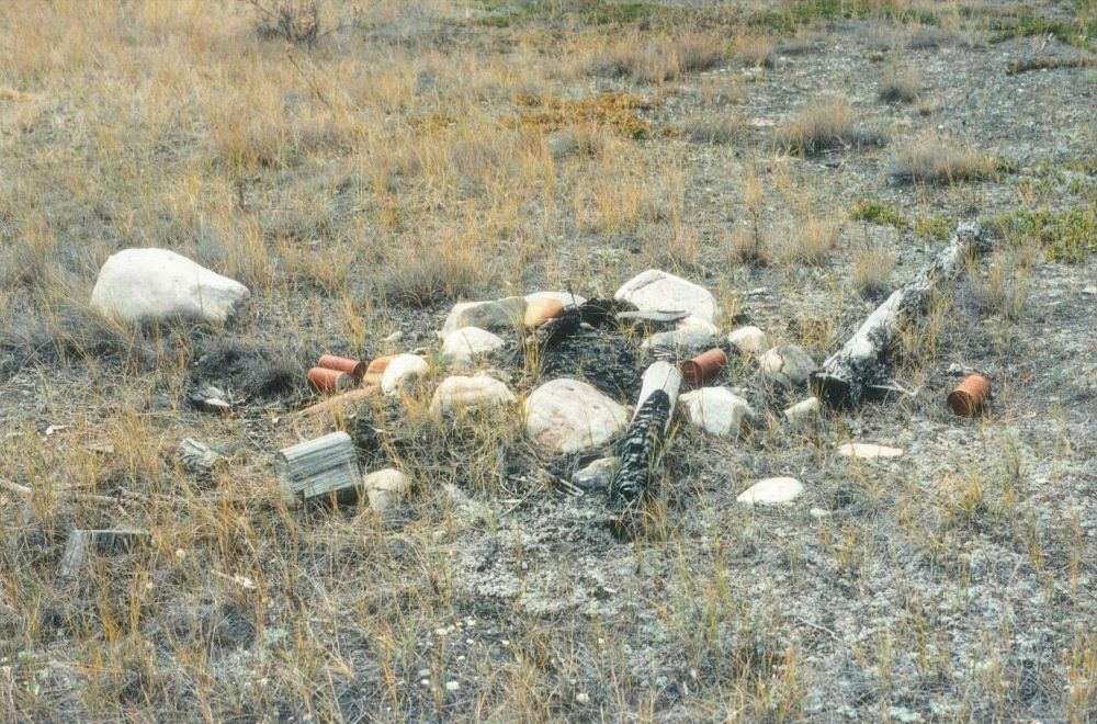Evidence of old fire in meadow between North Saskatchewan River and Highway 11, Kootenay Plains (BFord)