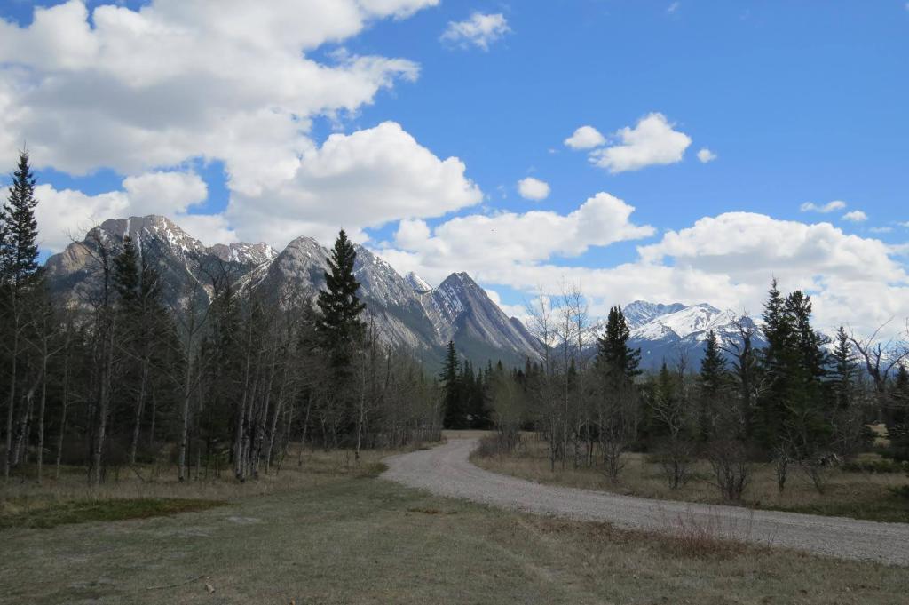The five peaks of Ex Coelis, Kootenay Plains (BFord)