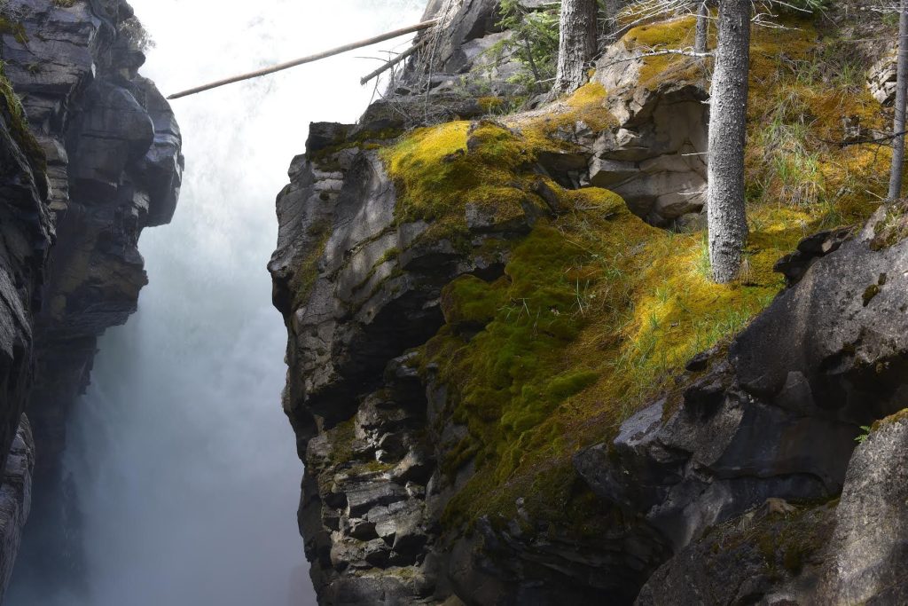 Siffleur Falls in Kootenay Plains (BFord)