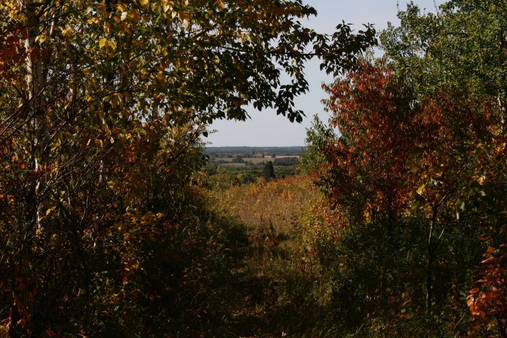 Approaching Lookout Point, Halfmoon Lake Natural Area, September 14, 2008 (Richard DeSmet)