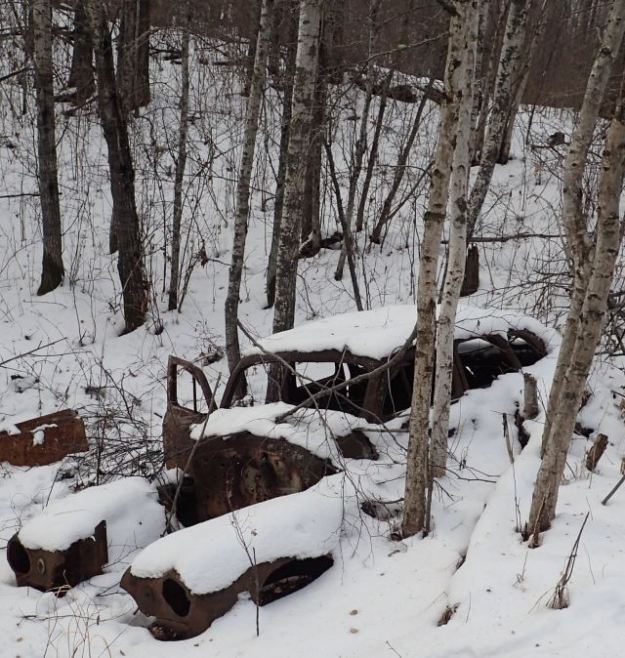 Abandoned car, Bilby Natural Area, 2020-12-11 (FPotter)