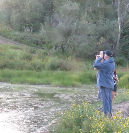 Birdwatching, Summer 2021, H.Taube