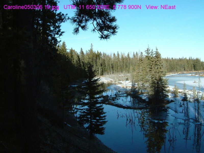 Caroline NA March 5, 2006 (TBlake)