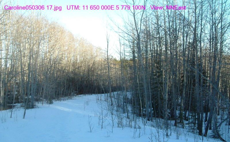 Caroline NA March 5, 2006 (TBlake)