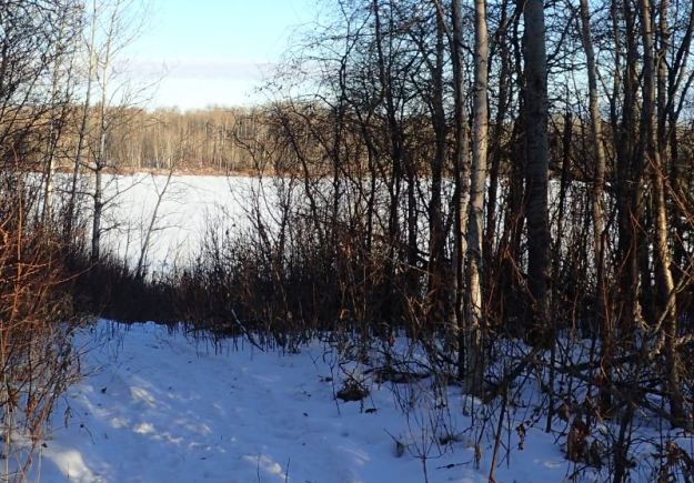ATV Track ploughing its way to the small lake on the South George Lake Natural Area; December 28, 2020 (F.Potter)