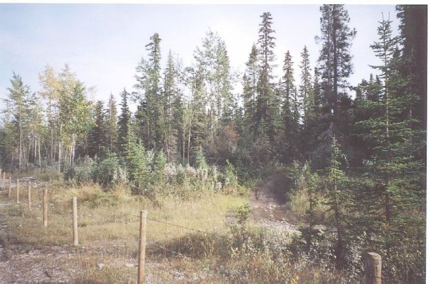 North boundary fence, Bearberry Prairie NA, 2003-09-21 (T.Blake)