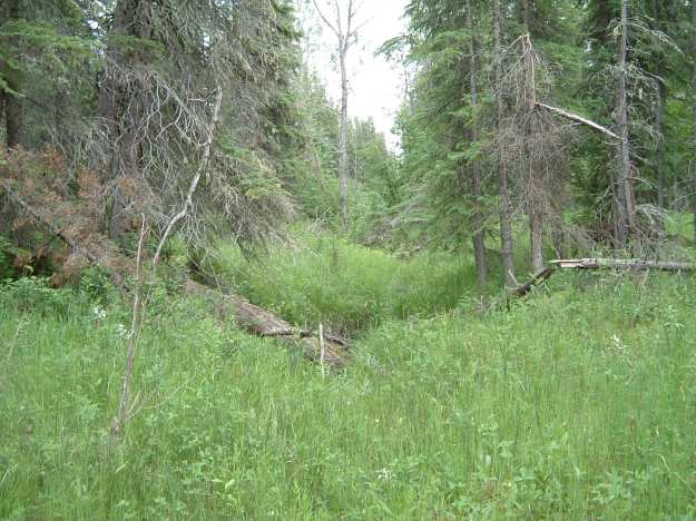 Swale, Bearberry Prairie NA, 2003-09-21 (T.Blake)