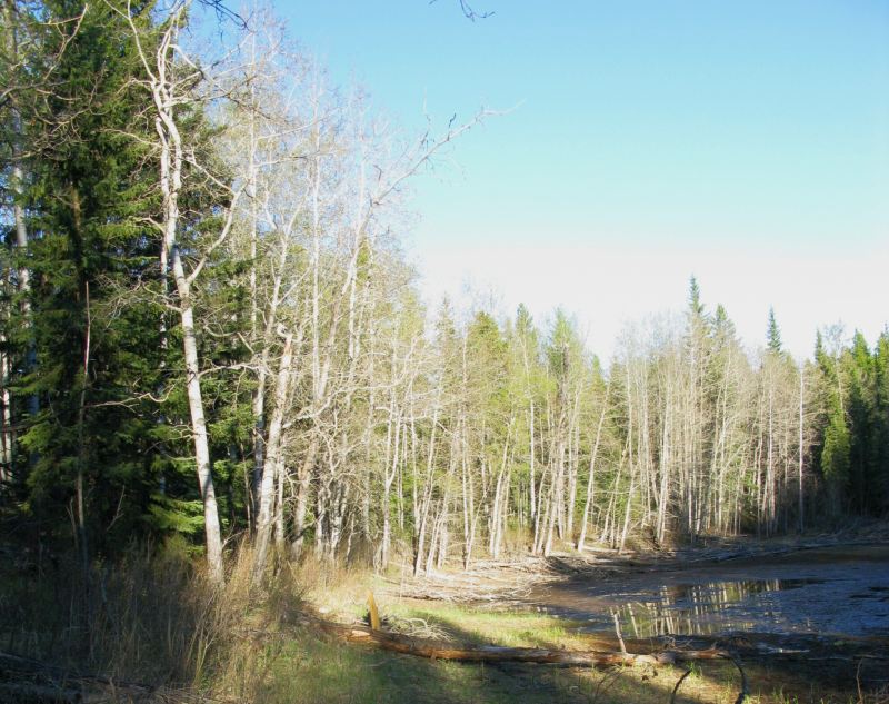 Rocky Mountan (PNT) 2009-05-29 (TBlake)