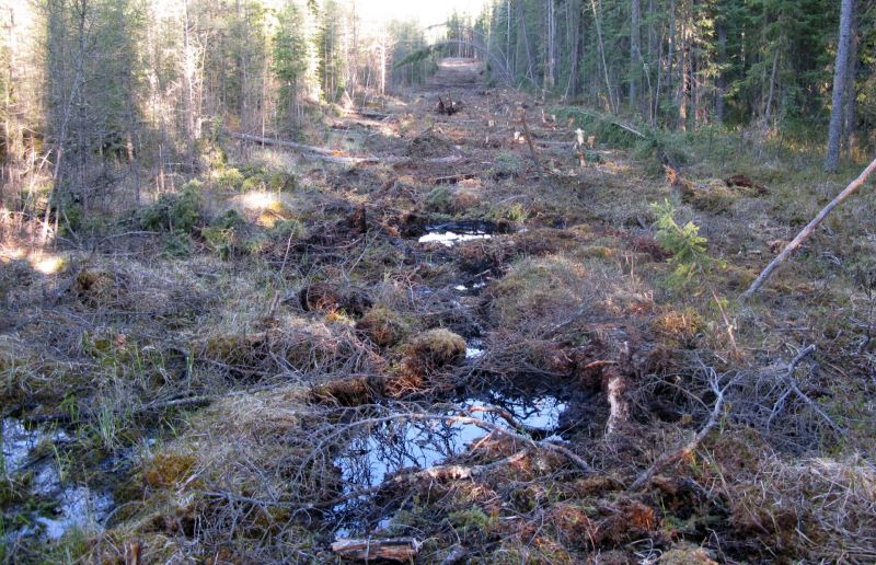 Rocky Mountan (PNT) 2009-05-29 (TBlake)