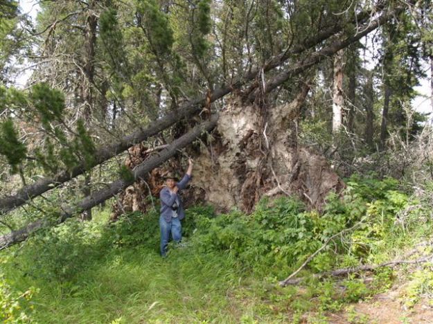 Aurora NA 2005-08-09 (T. Blake)