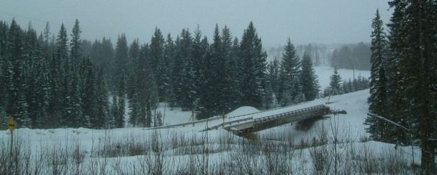 Prairie Creek Clearwater PNT 2005-02-19 (TBlake) Bridge Across Creek