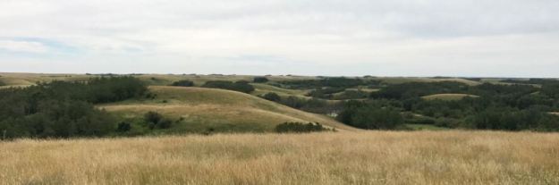 Rumsey Ecoological Reserve, ca. 2017, (G. Romanchuk)