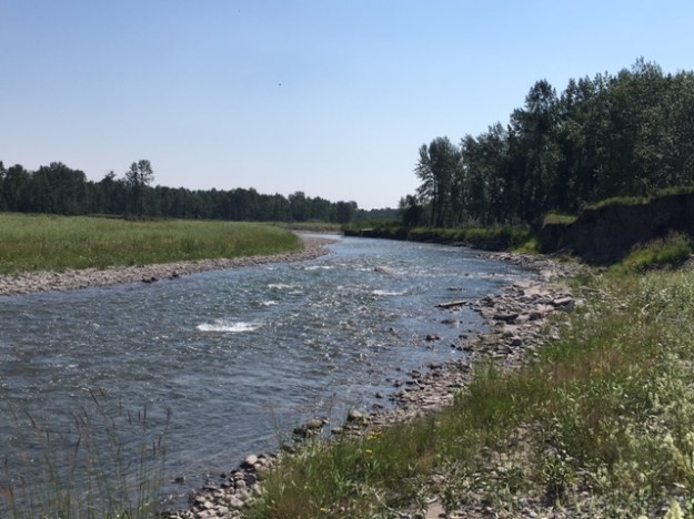 Sheep Creek NA, 2017 (KReeves)