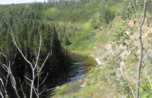 Creek Valley from NE Corner of NA, Telfordville, 2022-08-25 (H.Taube)