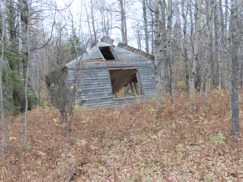 Strawberry Creek NA, near SE Corner, Abandoned Dwelling, 2022-10-10 (HTaube)