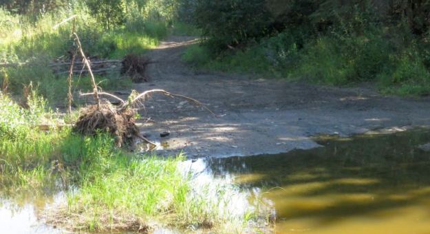 OHV Tracks Crossing Creek, Telfordville, 2022-08-25 (H.Taube)