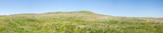 Twin River Heritage Rangeland Natural Area; 2008; (© Dragomir Vujnović Alberta, Canada - used with permission)