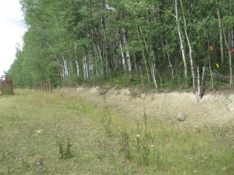 SW Corner, Bigoray NA, 2021-08-08 (HTaube)