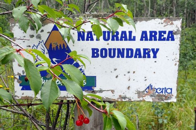 A weather beaten sign marking the North border/stile to the Wabamun Lake NA.