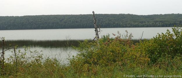 Looking west across Battle Lake from twp rd 463a, about half way up the lake.