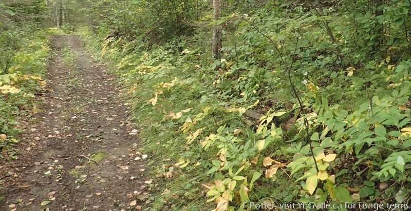 Example of the ATV tracking through the Mount Butte NA.