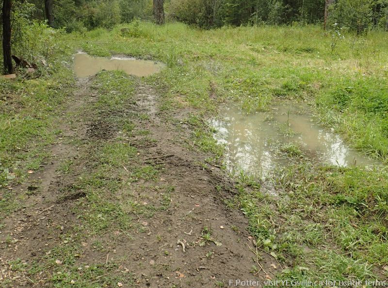 ATV Tracks into the Mount Butte OC NA from twp rd 463a.