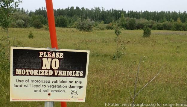Older signage on the south side of Battle Lake South NA, 2023-08-23 (F.Potter).
