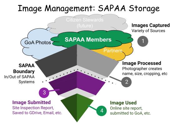 Potential Sources of Images and other files useful for the SAPAA Website.