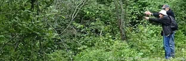 Inspecting Mathew's Cross NA, 2023-07-28 (P.Potter)