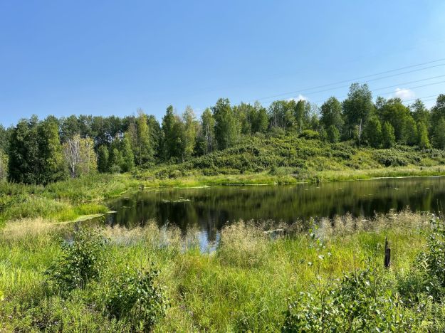 Coyote Lake NA: pond scene in a depression in rolling, wooded topography_2023-08-08_P Cotterill