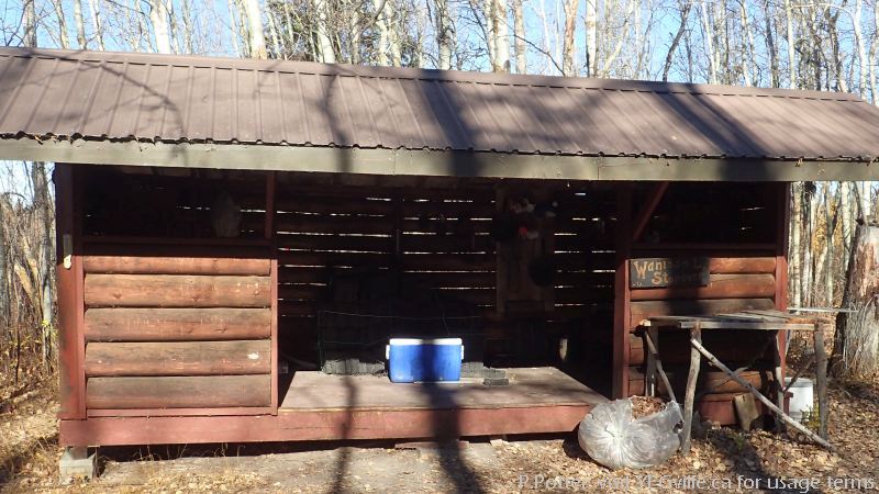 Wanisan Lake Stopover hut built by the Waskahegan Trail Association initially in 1979; P. Potter Wanisan Lk NA 2023-10-08.