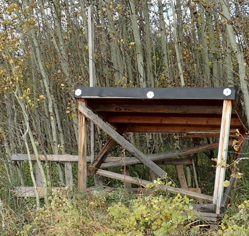 Dilapidated hunting blind, North Cooking Lake NA, P.Potter Sept 23, 2023.