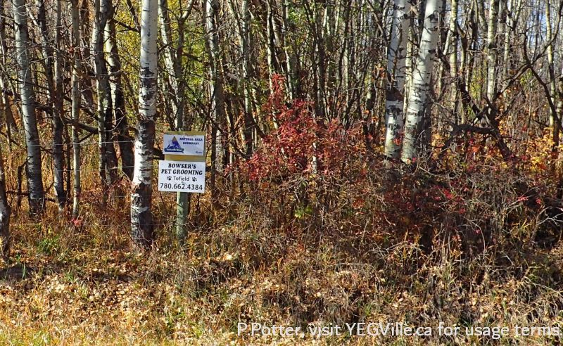 Boundary Sign playing double duty, Parkland Natural Area, October 8, 2023, P. Potter.