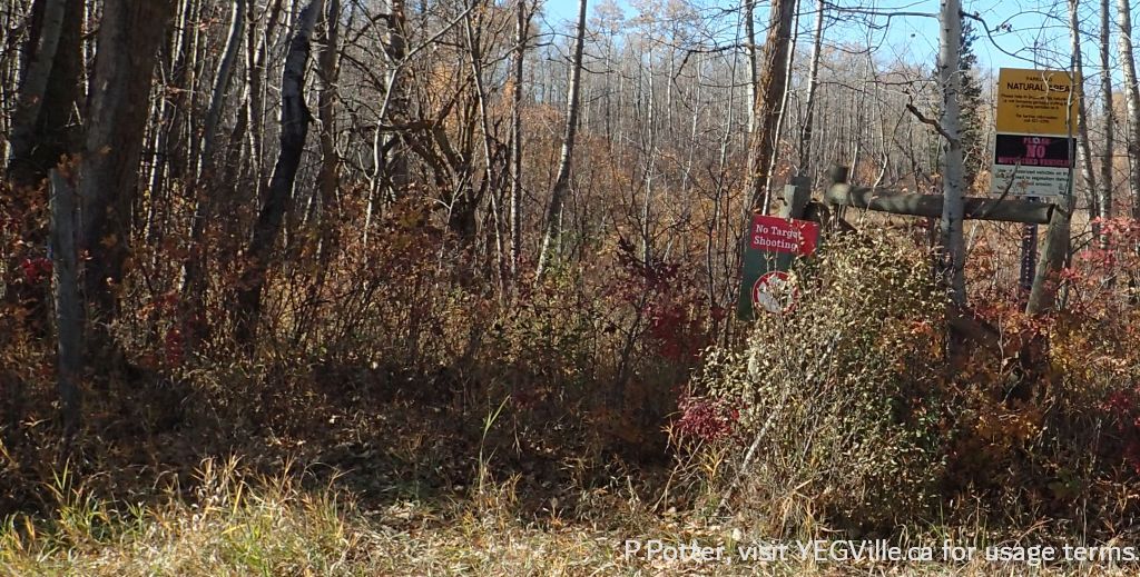 Signage about Parkland Natural Area, October 8, 2023, P. Potter.
