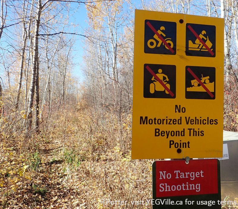 Newer boundary signs, looking east into Parkland Natural Area, October 8, 2023, P. Potter.