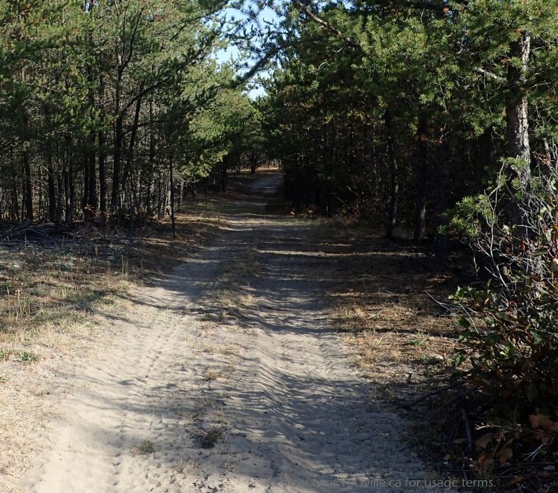 Sandy quad track skirting the north border, P. Potter Nestow NA, 2023-10-08.