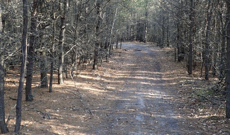 Quadrant skirting the northeast quadrant of the Nestow NA., P. Potter, 2023-10-08.