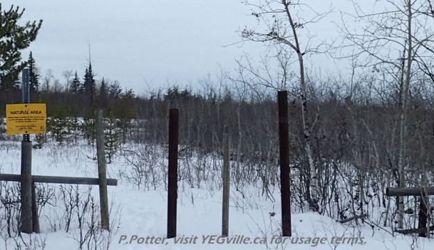 Southeast entrance, at the end of RR 225, to Opal NA, 2024-03-09, P. Potter.