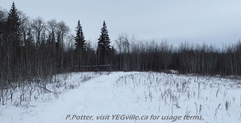 ATV track crisscrossing Opal NA, 2024-03-09, P. Potter.