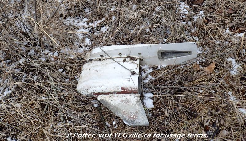Dumped outboard boat motor, Crippsdale Natural Area, 2024-03-29, P. Potter.