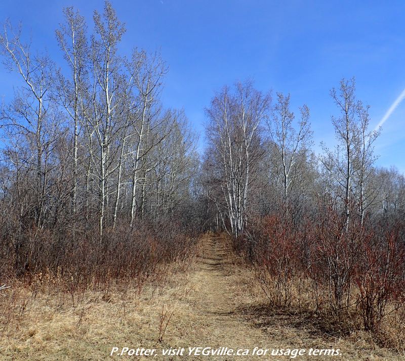 East along the Lookout trail, Halfmoon Lake Natural Area, 2024-04-14, P. Potter.