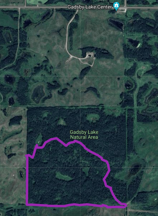 Route walked, Gadsby Lake NA, Tony B., 2024-08-06.