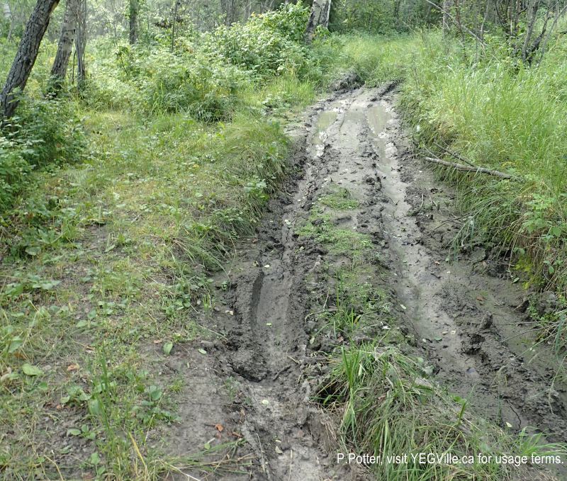 ATV gouging in water course, 2024-08-14, Magee Lake NA, P. Potter.
