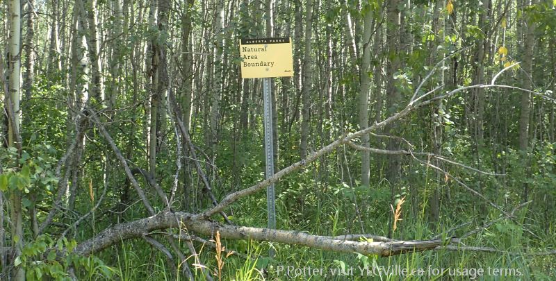 Boundary sign about 100M south of the NW corner of the NA, Medicine Lodge Hills NA, 2024-08-14, P. Potter.